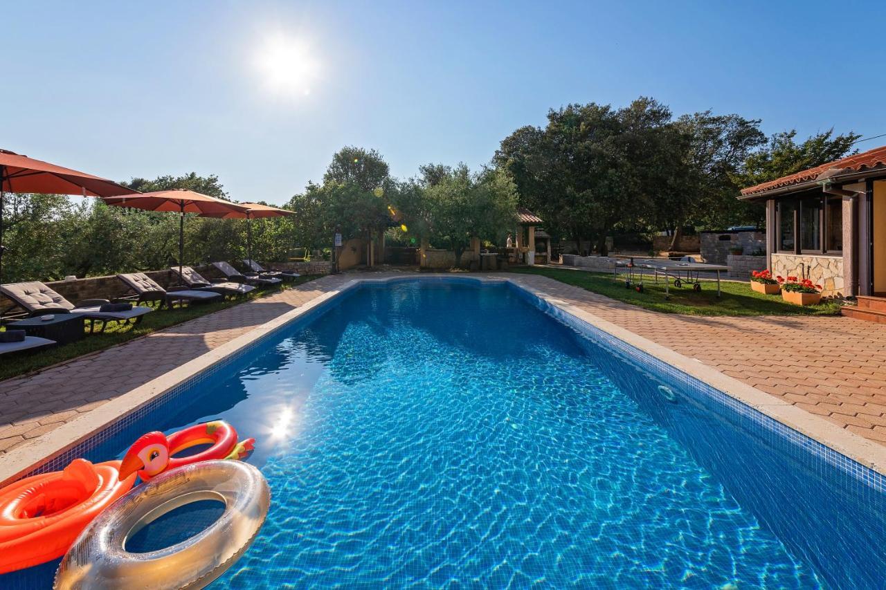 Guesthouse "Barboska" - Big Outdoor Swimming Pool & Private Tennis Court ボドニャン エクステリア 写真