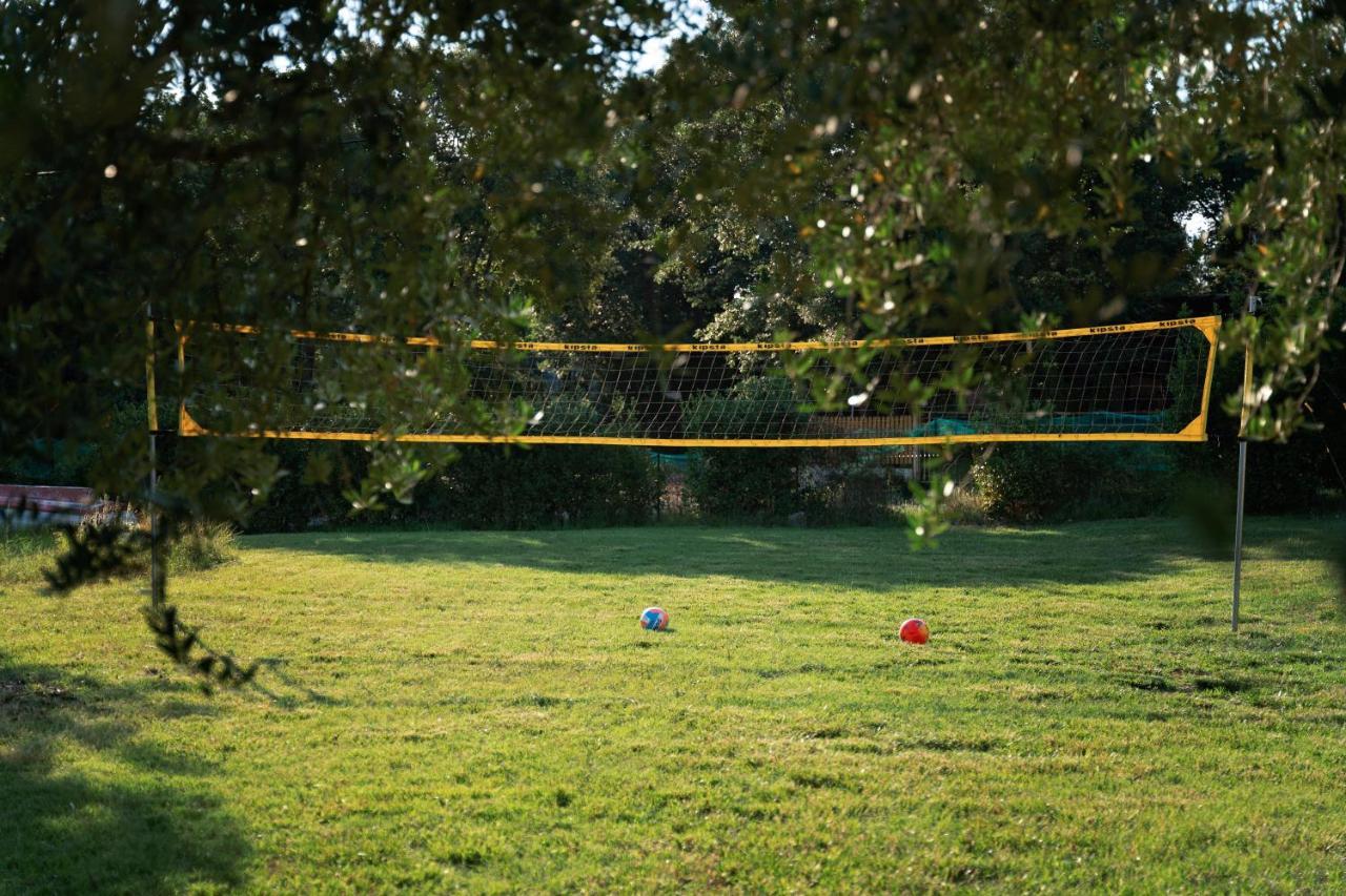 Guesthouse "Barboska" - Big Outdoor Swimming Pool & Private Tennis Court ボドニャン エクステリア 写真
